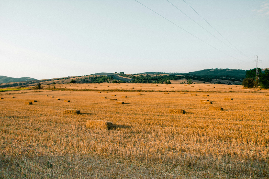 A hay field on a farm in day time. 